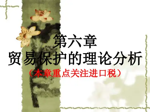 第六章  贸易保护的理论分析