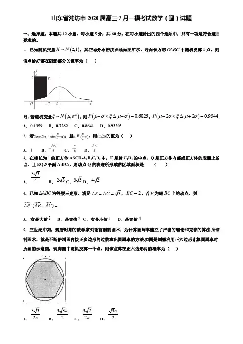 【附加15套高考模拟试卷】山东省潍坊市2020届高三3月一模考试数学(理)试题含答案