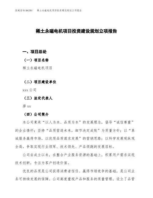 稀土永磁电机项目投资建设规划立项报告