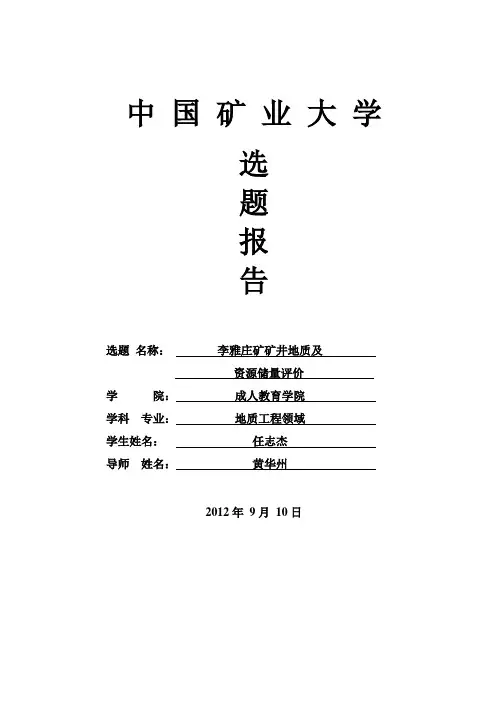 选题报告