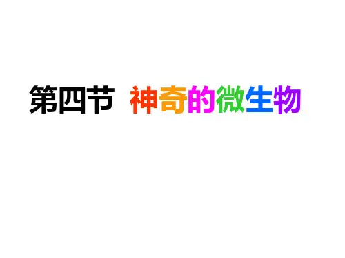 神奇的微生物PPT课件