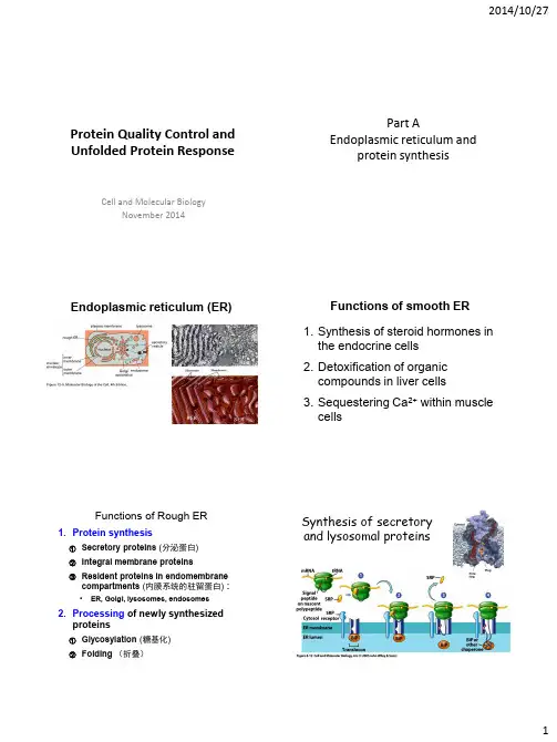 分子生物医学