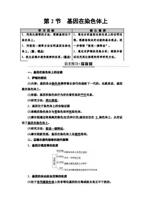 2019-2020人教版生物必修2 第2章 第2节 基因在染色体上