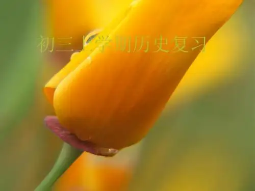 初三上学期历史复习