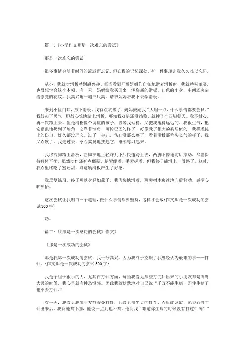 作文那是一次成功的尝试300字范文