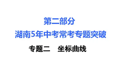 湖南中考化学复习：常考专题突破PPT课件(5)