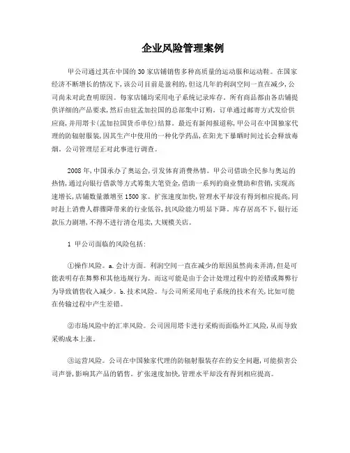 企业风险管理案例