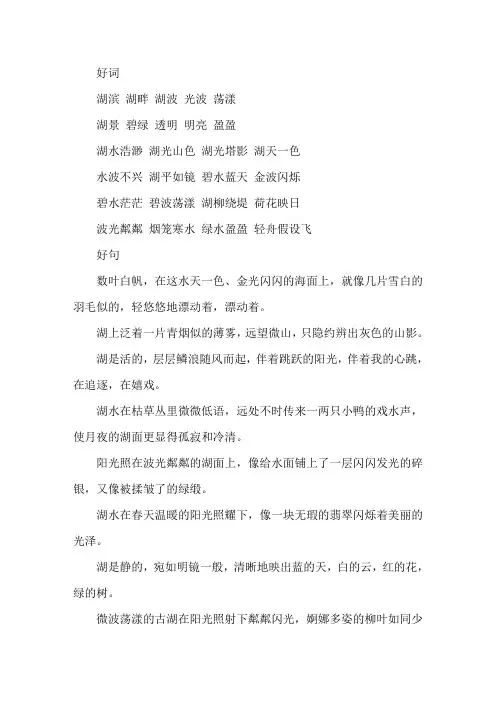 描写湖泊的好词好句精选