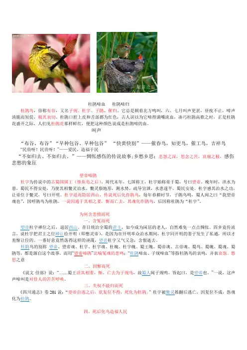“杜鹃啼血”意象解读