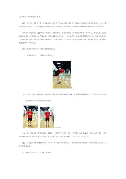肩袖损伤的康复训练(图文)