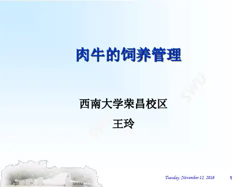 肉牛的饲养管理兽医