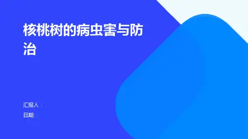 核桃树的病虫害与防治