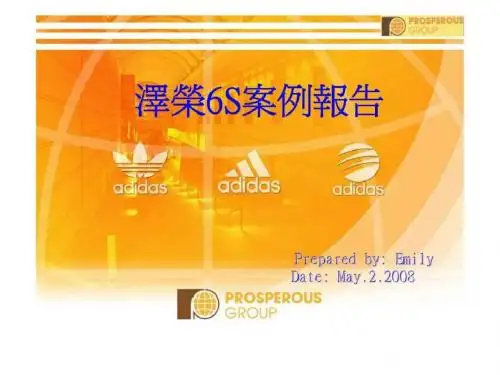 泽荣6s案例报告-PPT课件