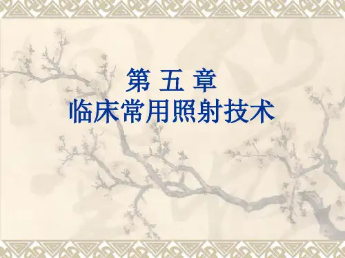 放射性粒子