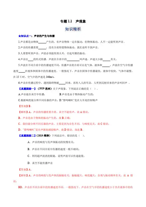 物理中考知识精析与真题跟踪练  专题1.1 声现象