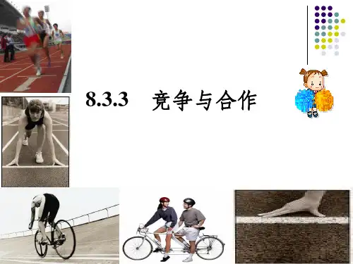 8.3.32竞争与合作