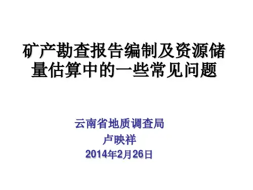 卢映祥—矿产勘查报告及资源储量估算中的一些问题20140226