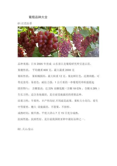 葡萄品种大全