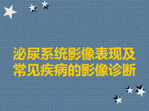 泌尿系统影像表现及常见疾病的影像诊断