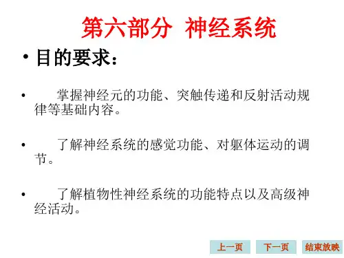 生理学课件--神经系统(完整)
