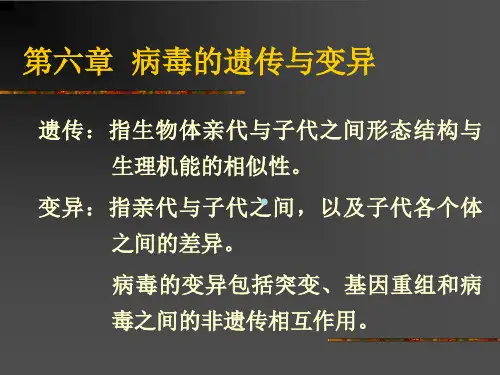 第六章病毒的遗传与变异