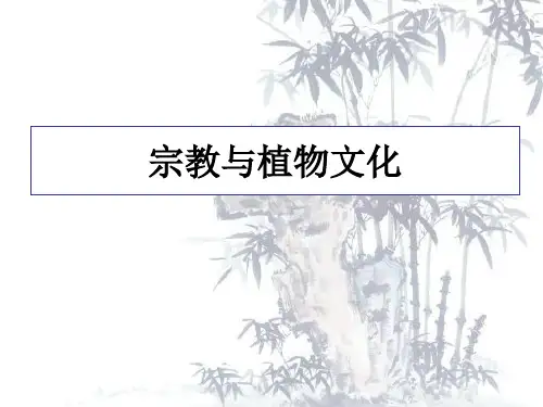 宗教与植物