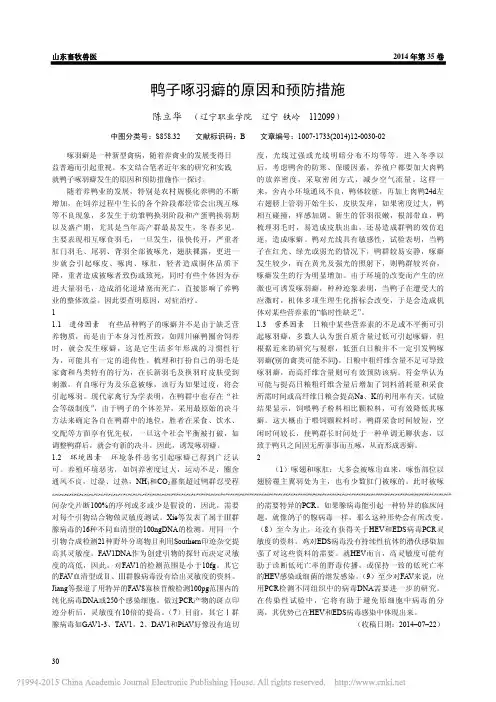 鸭子啄羽癖的原因和预防措施