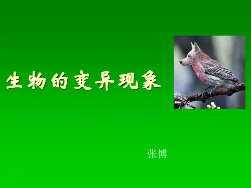 《生物的变异现象》课件