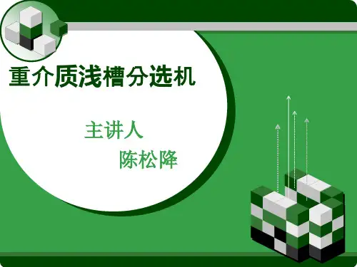 重介质浅槽分选机