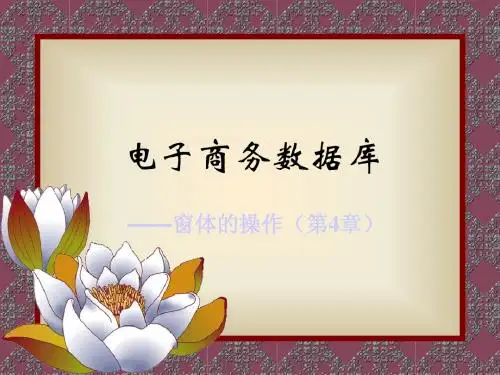 第4章窗体的操作