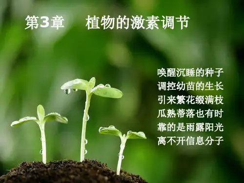 3.1 植物生长素的发现(共24张)