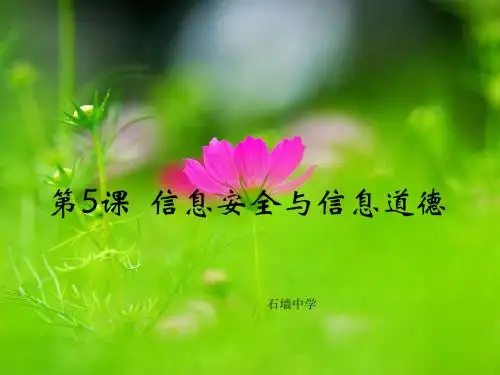 5信息安全与信息道德