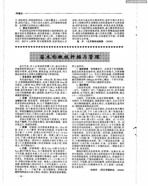苗木的嫩枝扦插与管理