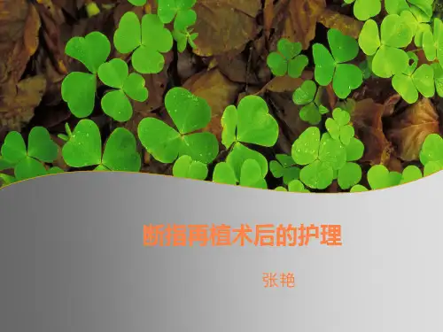 断指再植术后护理PPT课件