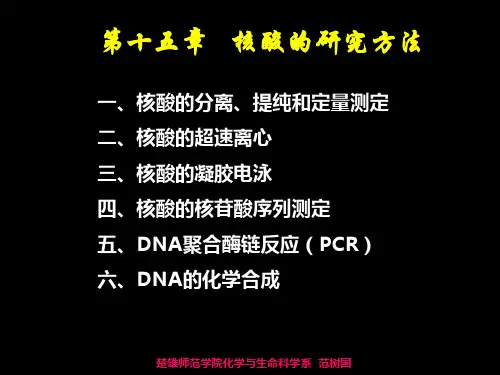 核酸的研究方法