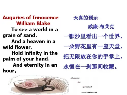 《半张纸》ppt(上课)