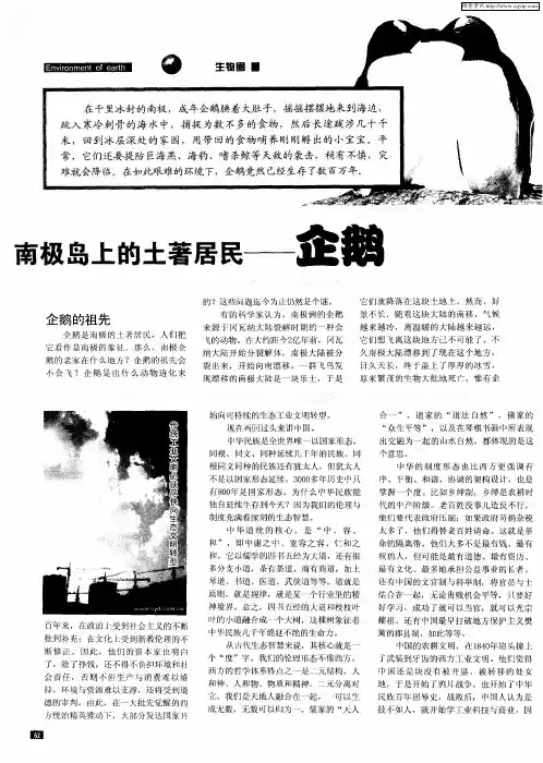 南极岛上的土著居民——企鹅