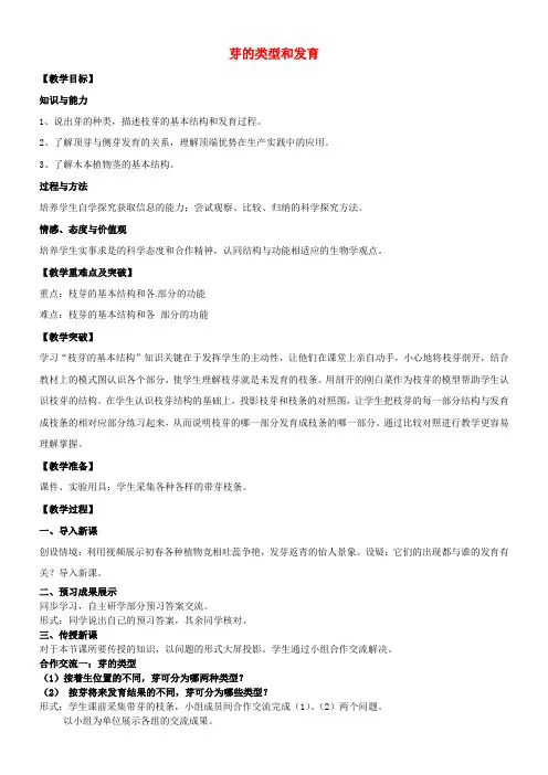 八年级生物上册 第四单元 第一章 第六节 芽的类型和发育教案 (新版)济南版