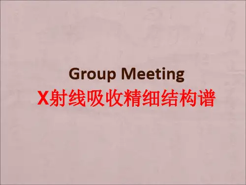 X射线吸收精细结构谱