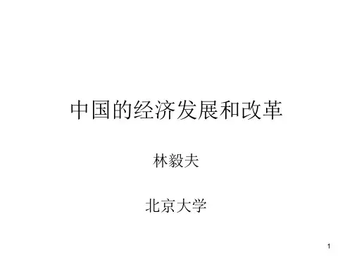 林毅夫中国经济专题(课堂PPT)