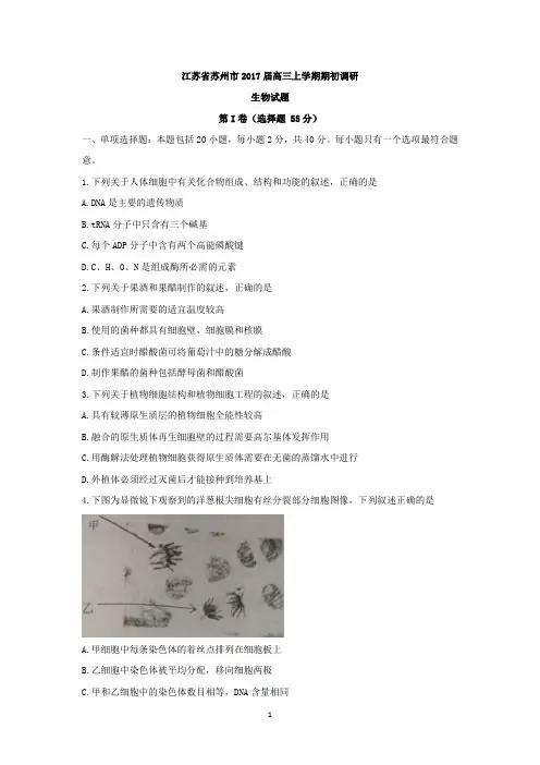 江苏省苏州市2017届高三上学期期初调研生物试题 Word版含答案