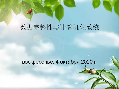 数据完整性与计算机化系统验证精品PPT课件