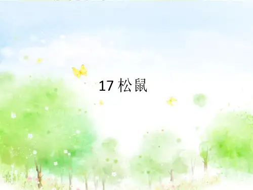 17 松鼠