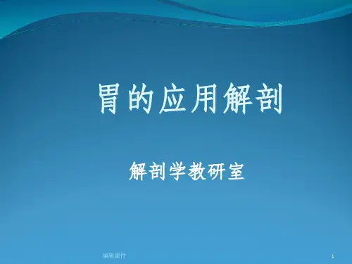 胃的应用解剖