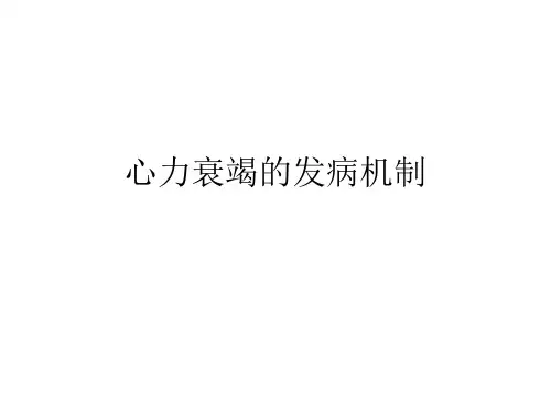心力衰竭的发病机制