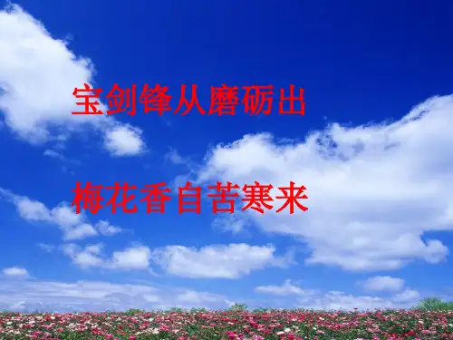 《酸碱盐的性质与应用》复习课件