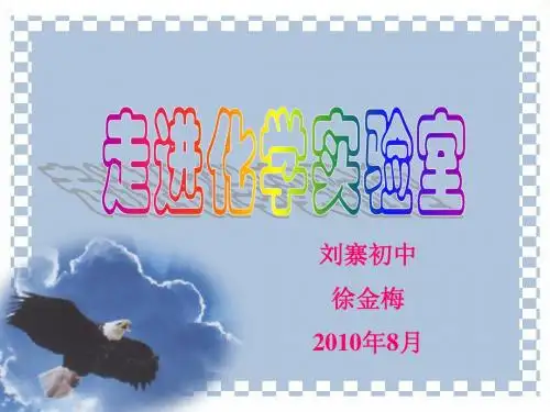 《走进化学实验室》ppt课件