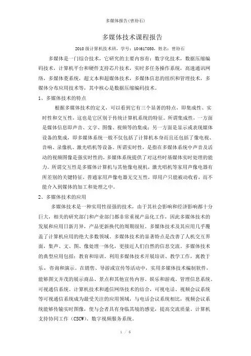 多媒体报告(曾玢石)参考模板