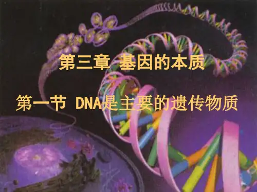 人教版高中生物必修二第三章第一节DNA是主要的遗传物质 ppt课件