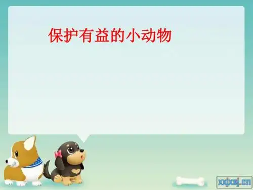 保护有益的小动物